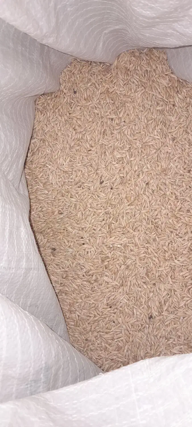 جو شهباد آبی|عمدهفروشی|فیروزآباد (لرستان), |دیوار