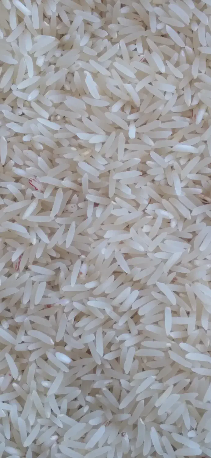 برنج فجردرجه۱آبیاری شده باآب چشمه دهنه چشمه ساران|خوردنی و آشامیدنی|نوده خاندوز, |دیوار