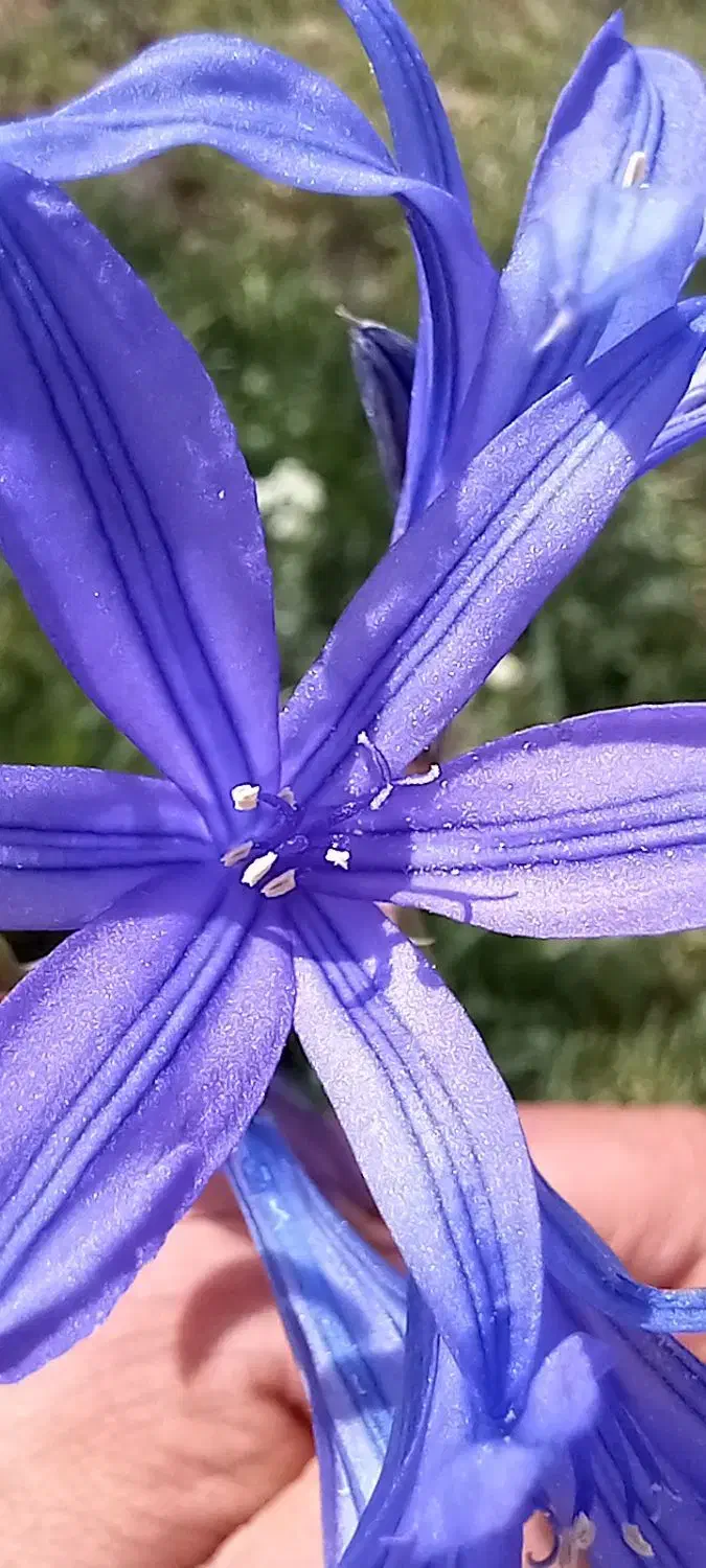 نیاز به کار دارم|خدمات نظافت|بجنورد, |دیوار