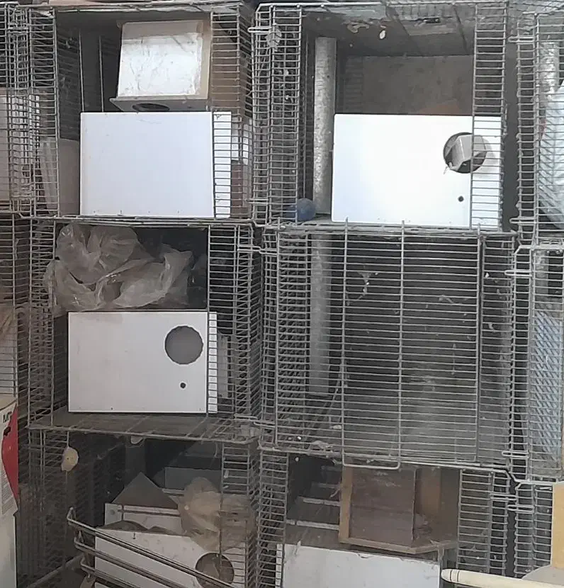 فروش ۲۰ عدد قفس پرنده با باکس مخصوص جفت گیری|لوازم جانبی حیوانات|وحدتیه, |دیوار