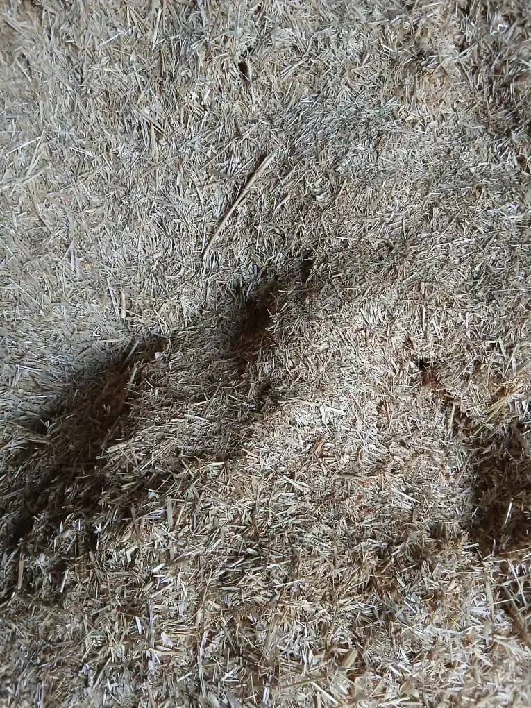 کاه سفید|لوازم جانبی حیوانات|شهرکرد, |دیوار