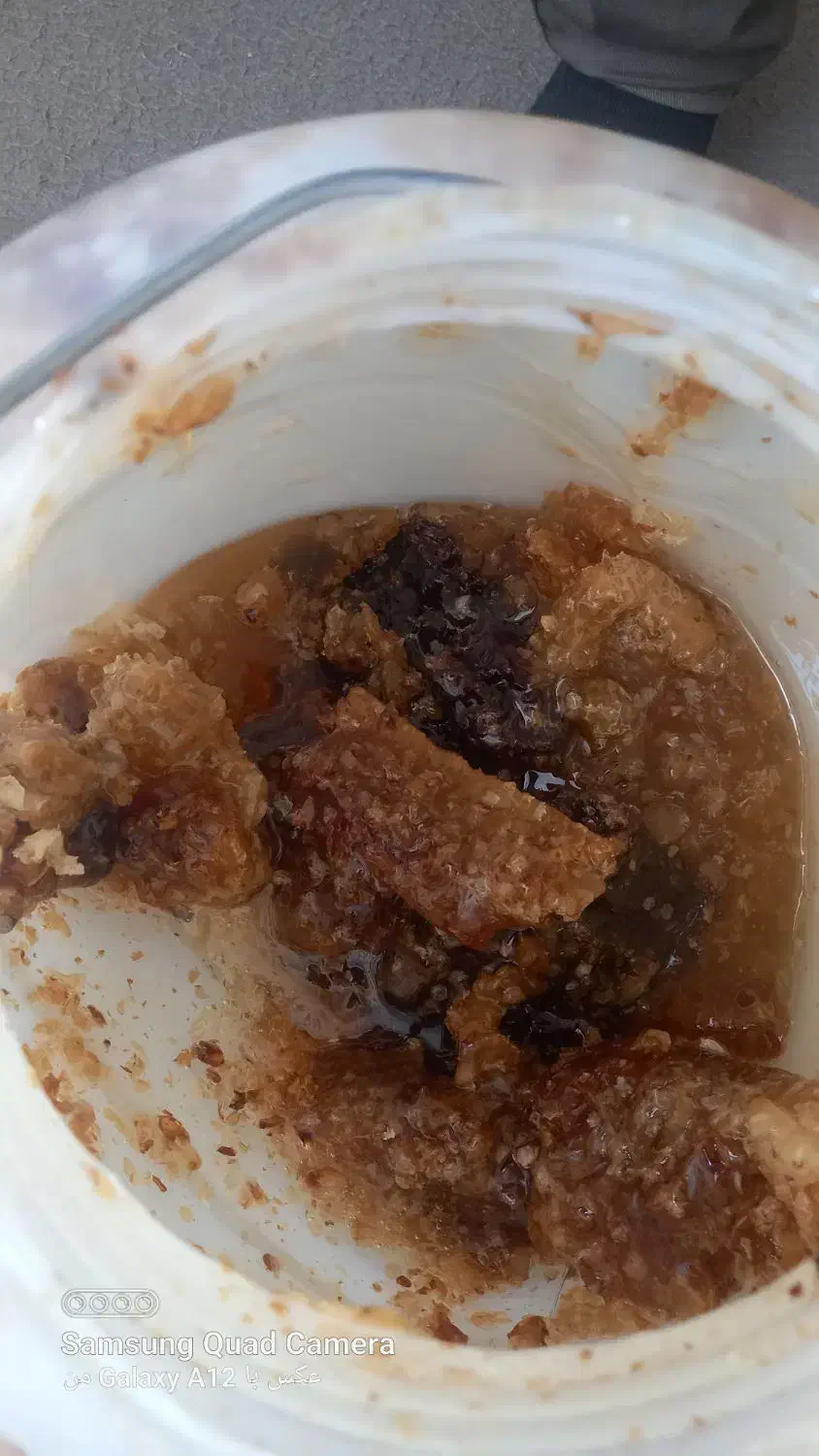 عسل طبیعی|خوردنی و آشامیدنی|کوهرنگ, |دیوار