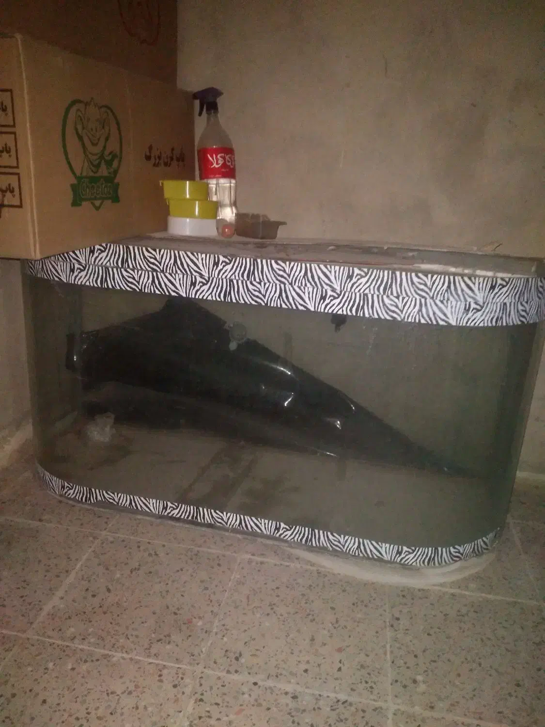 اکواریوم شیشه خم شرکتی سالم|ماهی|ایلام, |دیوار