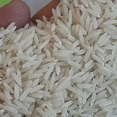 سه تن برنج شیرودی کیلویی ۱۸۰|خوردنی و آشامیدنی|نوکنده, |دیوار