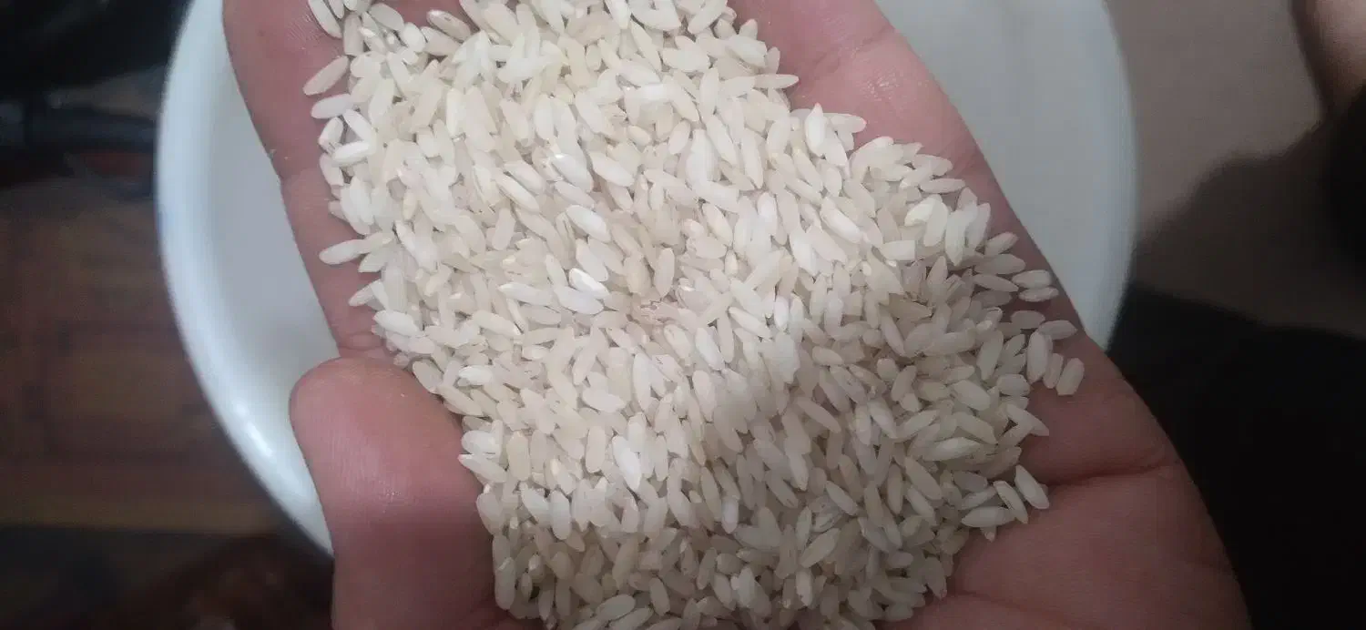 برنج محلی|خوردنی و آشامیدنی|دره شهر, |دیوار