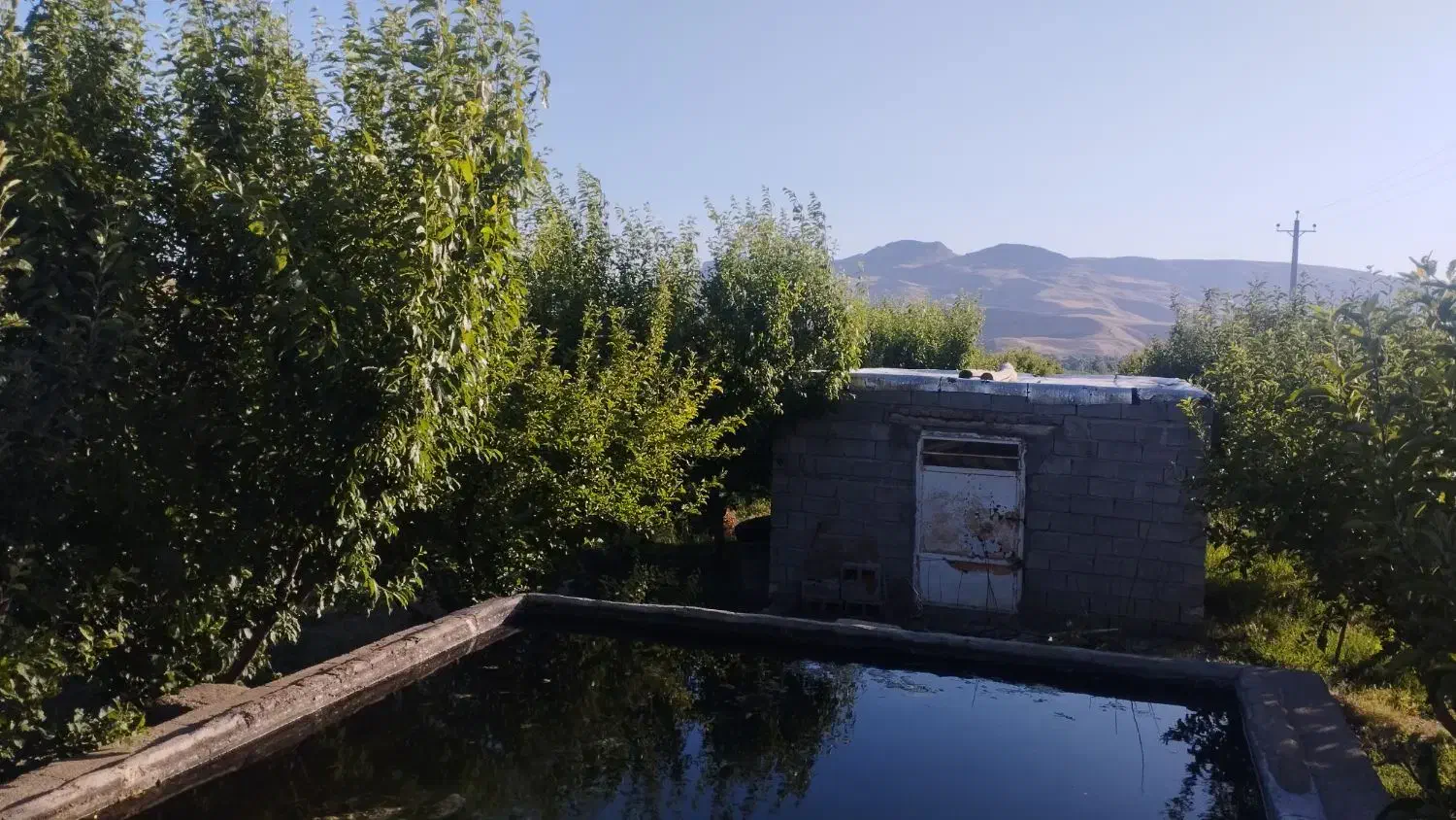 فروش باغ ۶ هزار متر|فروش زمین و ملک کلنگی|شاهین دژ, |دیوار