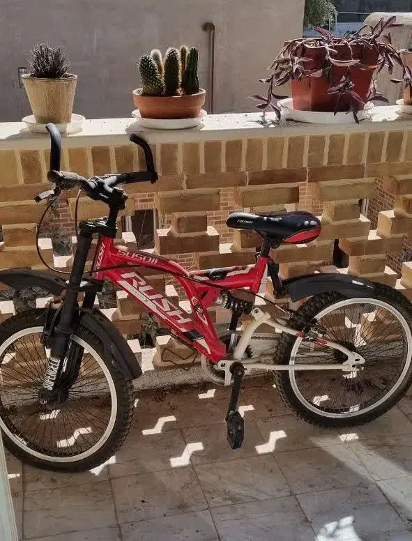 خوش رکاب سالم و زیبا|دوچرخه، اسکیت، اسکوتر|قم, باغ شازده|دیوار