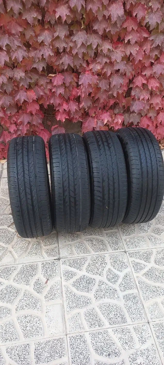 لاستیک15|قطعات یدکی و لوازم جانبی|هشتگرد, هیو|دیوار