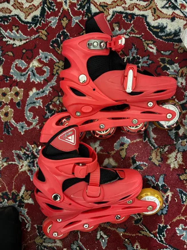 اسکیت|دوچرخه، اسکیت، اسکوتر|شیراز, میانرود|دیوار