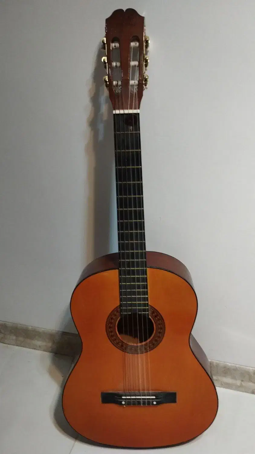 گیتار|گیتار، بیس، امپلیفایر|یزد, |دیوار