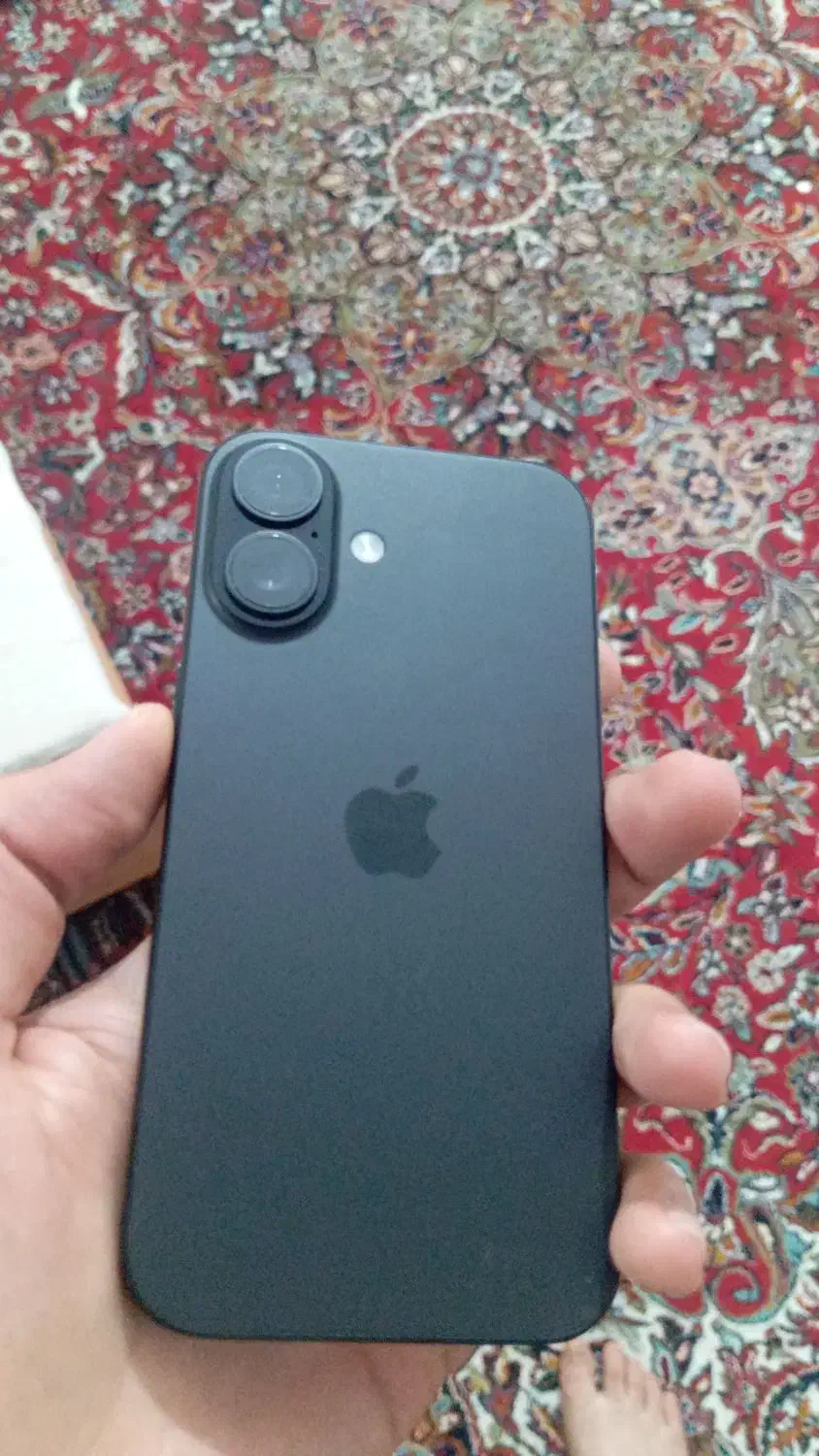 آیفون 16 نرمال/ 256/سایکل15|موبایل|شیراز, معالی‌آباد|دیوار