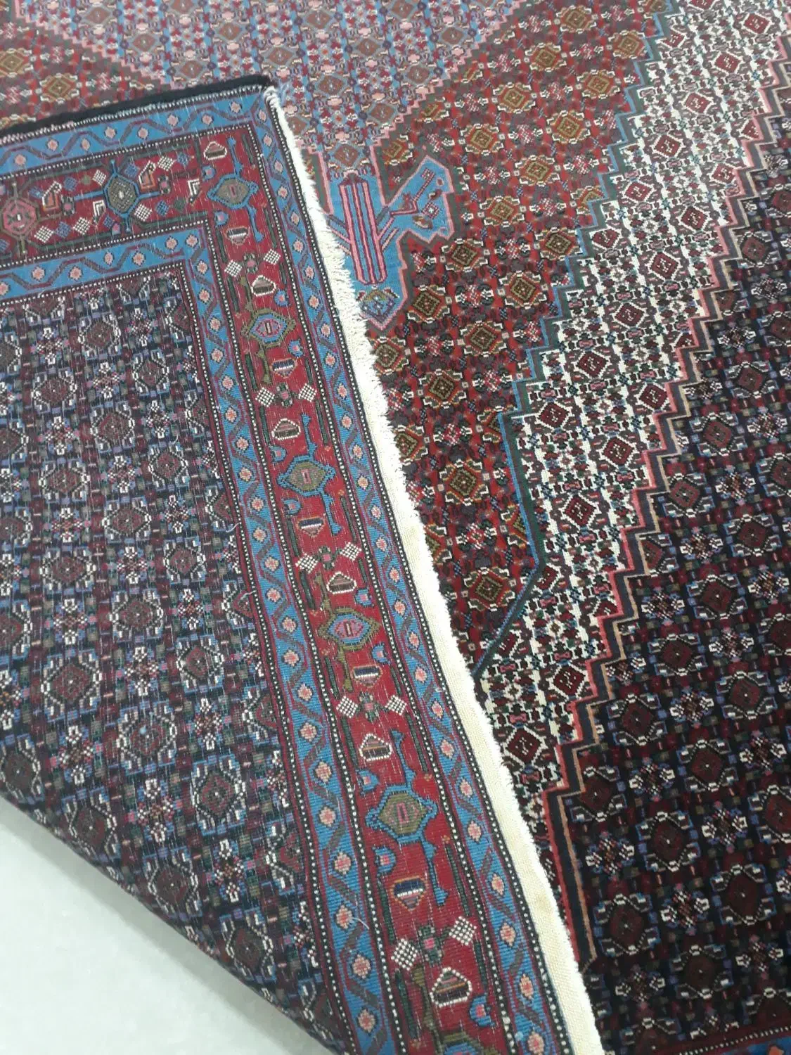 فرش کلاه فرنگ|فرش|سنندج, |دیوار