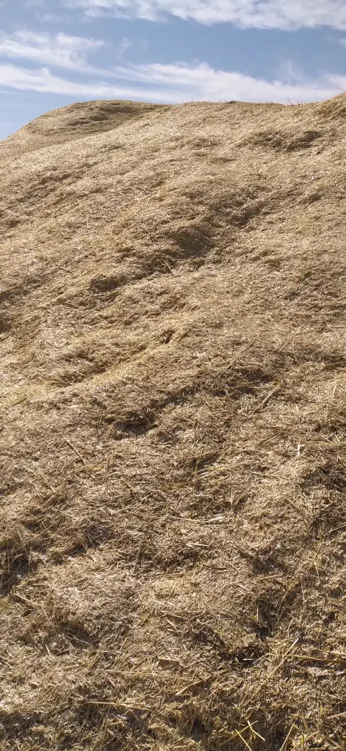 کاه گندم|عمده‌فروشی|قیدار, |دیوار