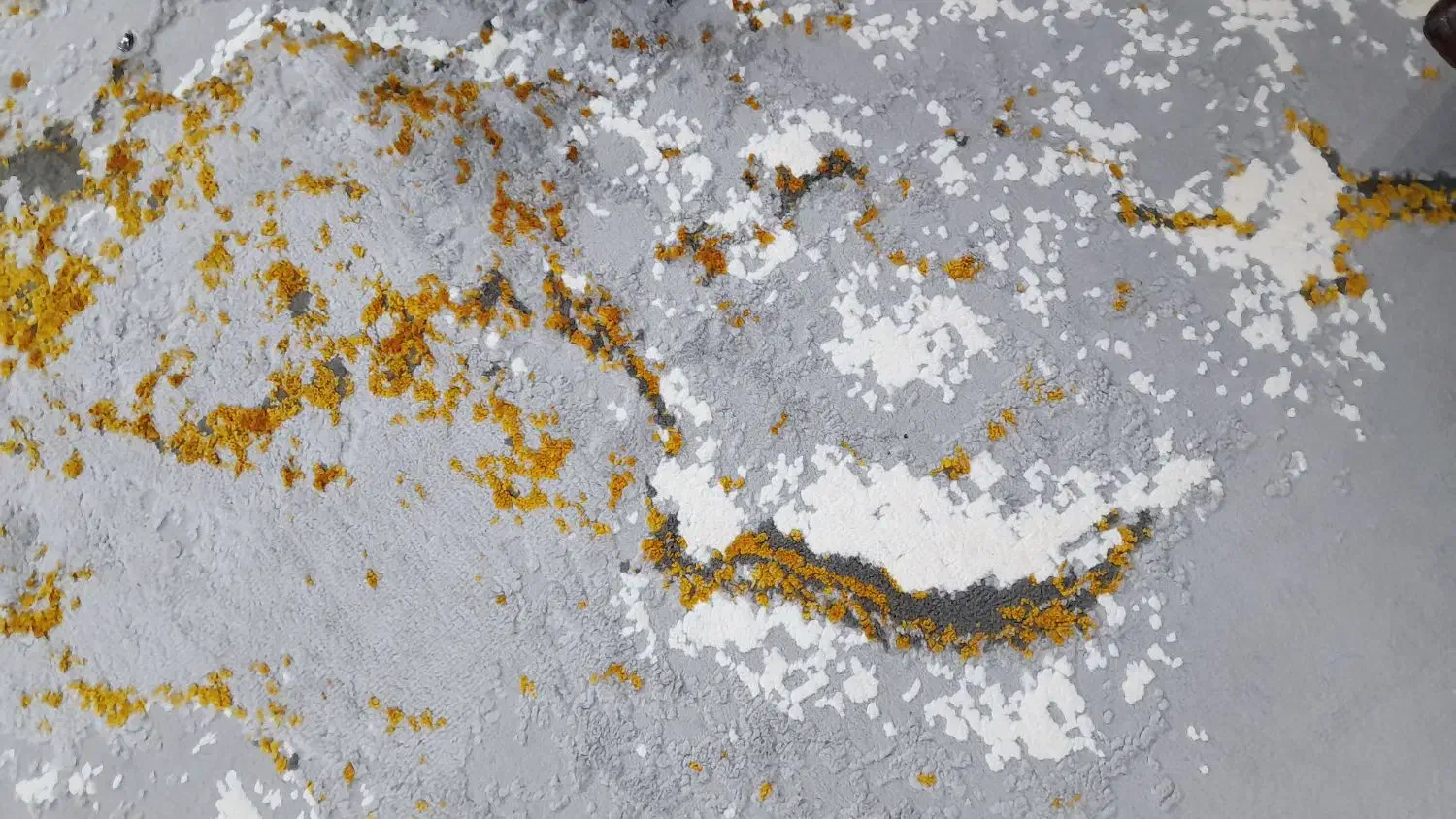 فرش در حد نو|فرش|یزد, |دیوار