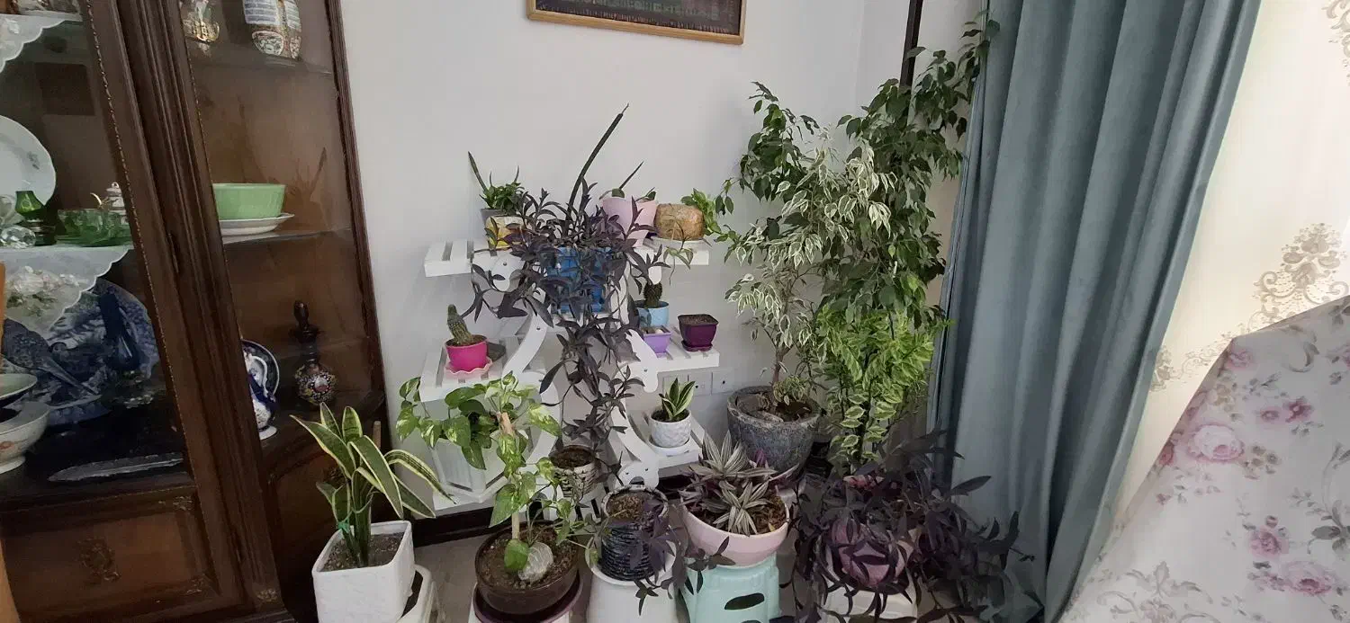 ۱۵۰متر ۳خواب فول سالن روبه آفتاب تک واحدی دریانو|فروش آپارتمان|تهران, دریاننو|دیوار