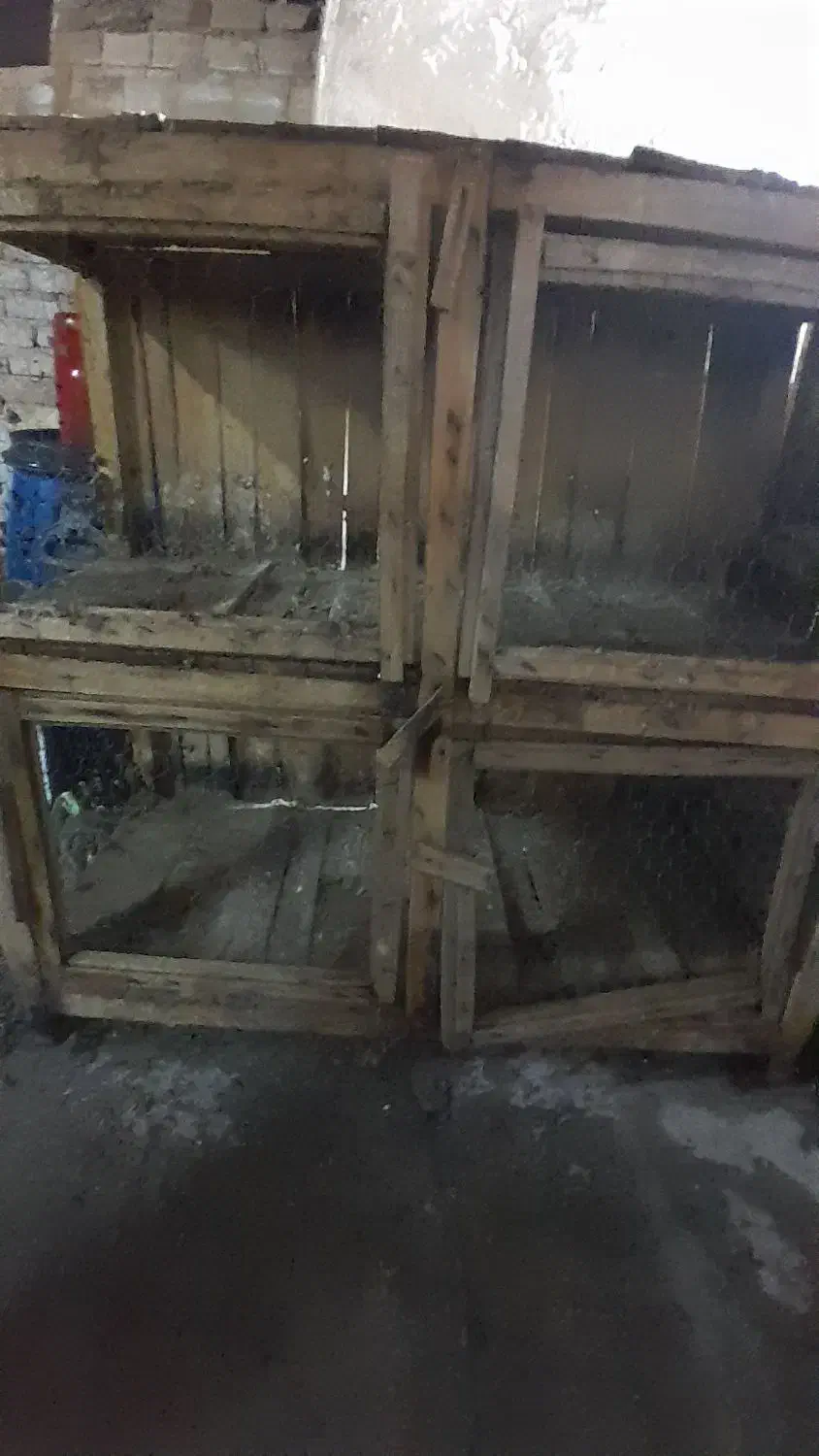 جفت کن|لوازم جانبی حیوانات|قم, بنیاد|دیوار