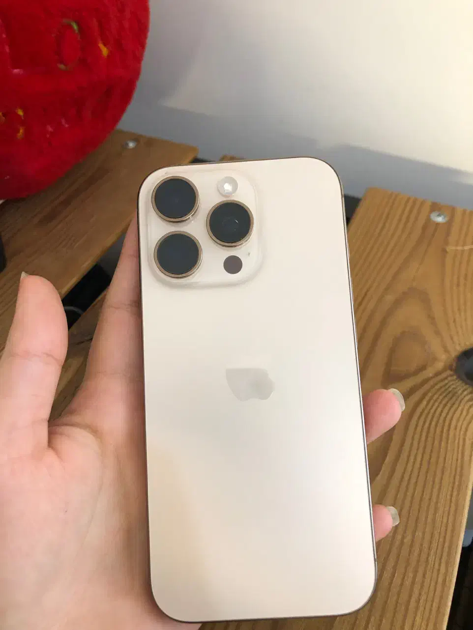 ۱۶پرو ۲۵۶|موبایل|مشهد, توس (بلوار توس)|دیوار