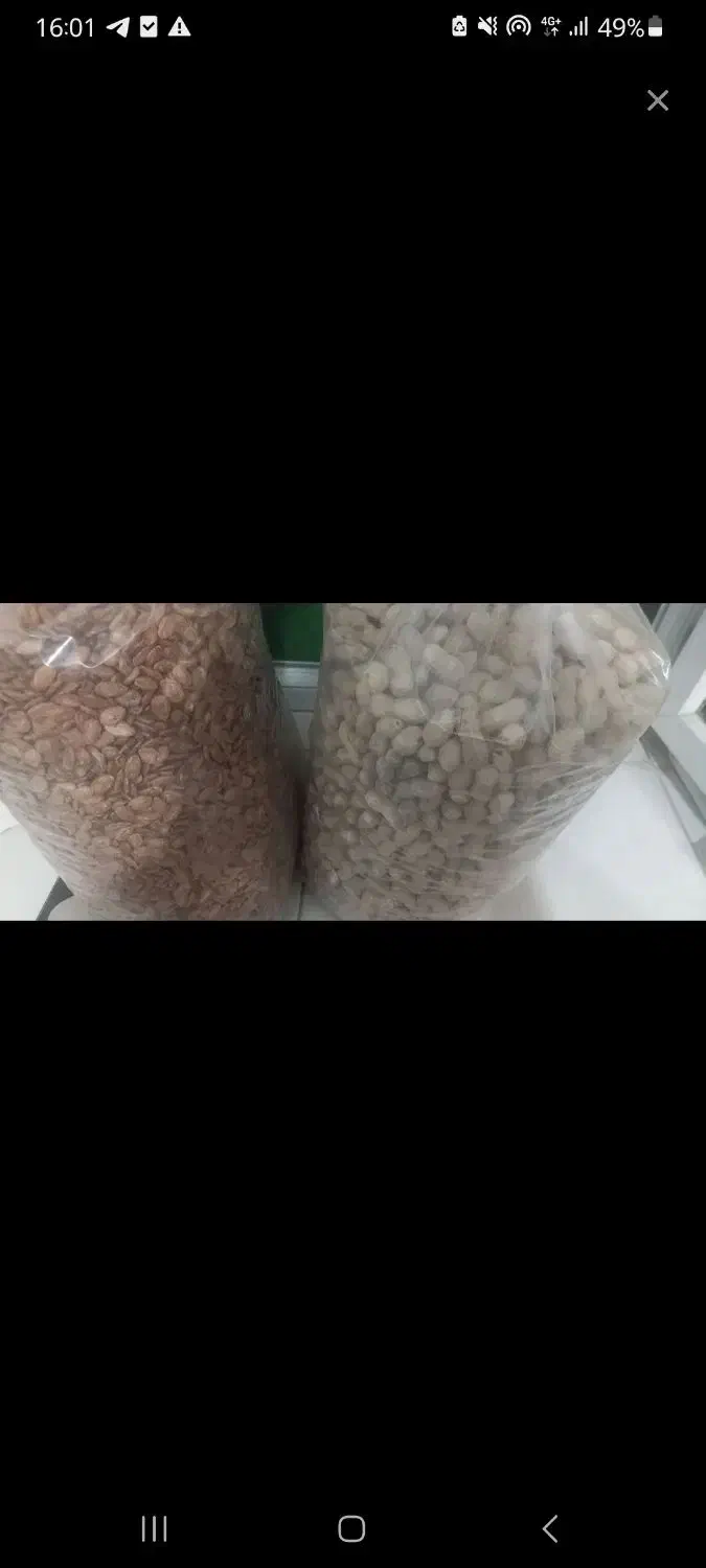 ۴ کیلو بادام زمینی و ۱۰ کیلو تخمه ژاپنی دو میلیون|خوردنی و آشامیدنی|کیش, |دیوار