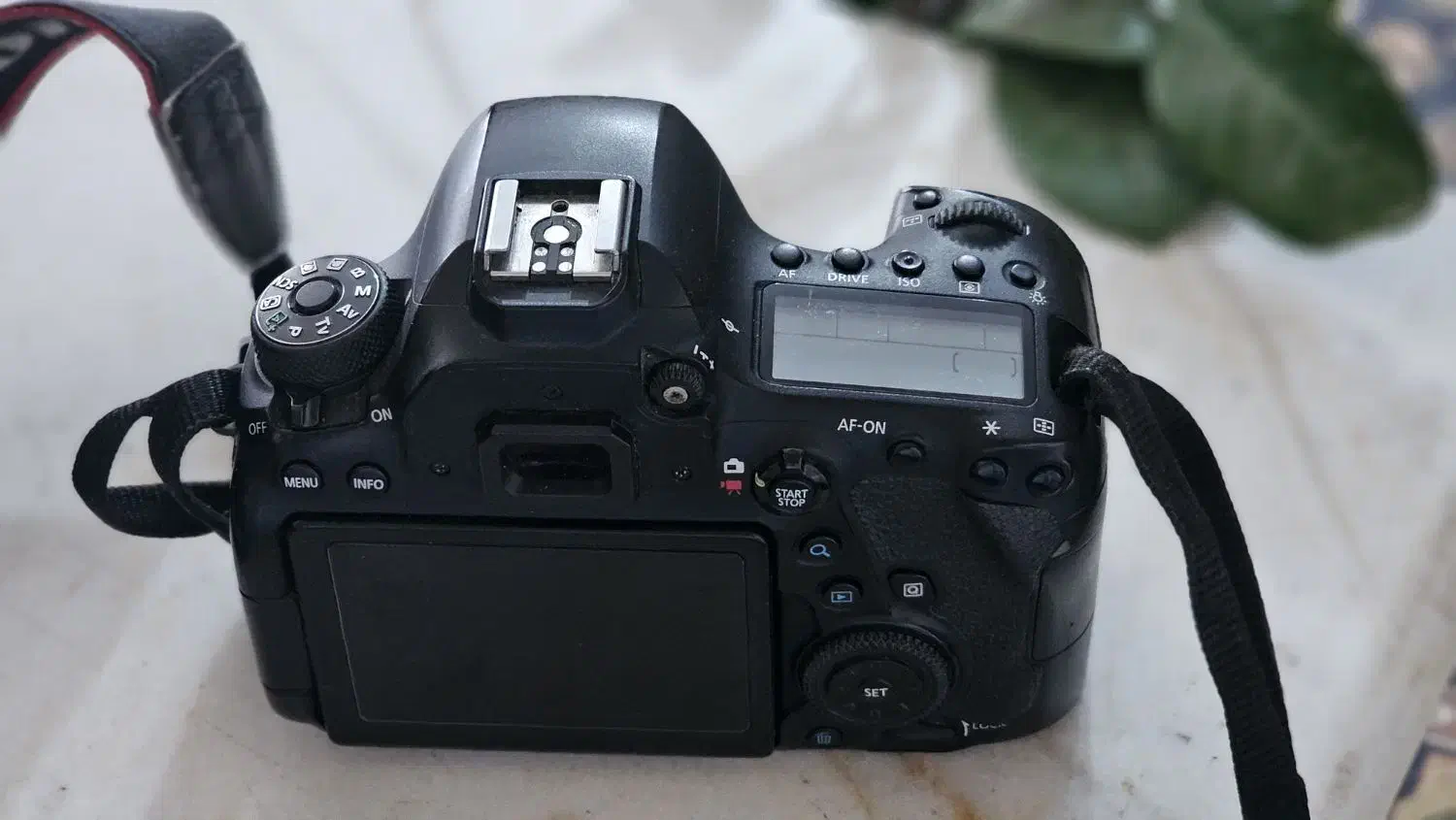 دوربین و لنز و فلش|دوربین عکاسی و فیلم‌برداری|قزوین, |دیوار