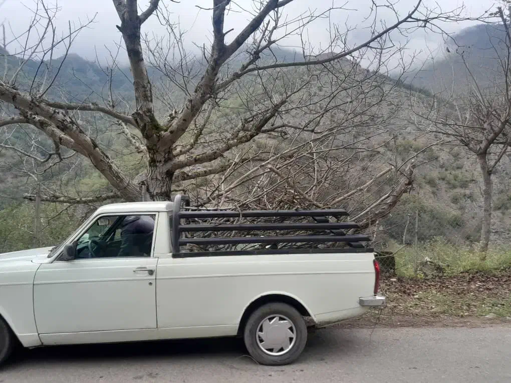 باربند اسدپرت|قطعات یدکی و لوازم جانبی|خمام, |دیوار