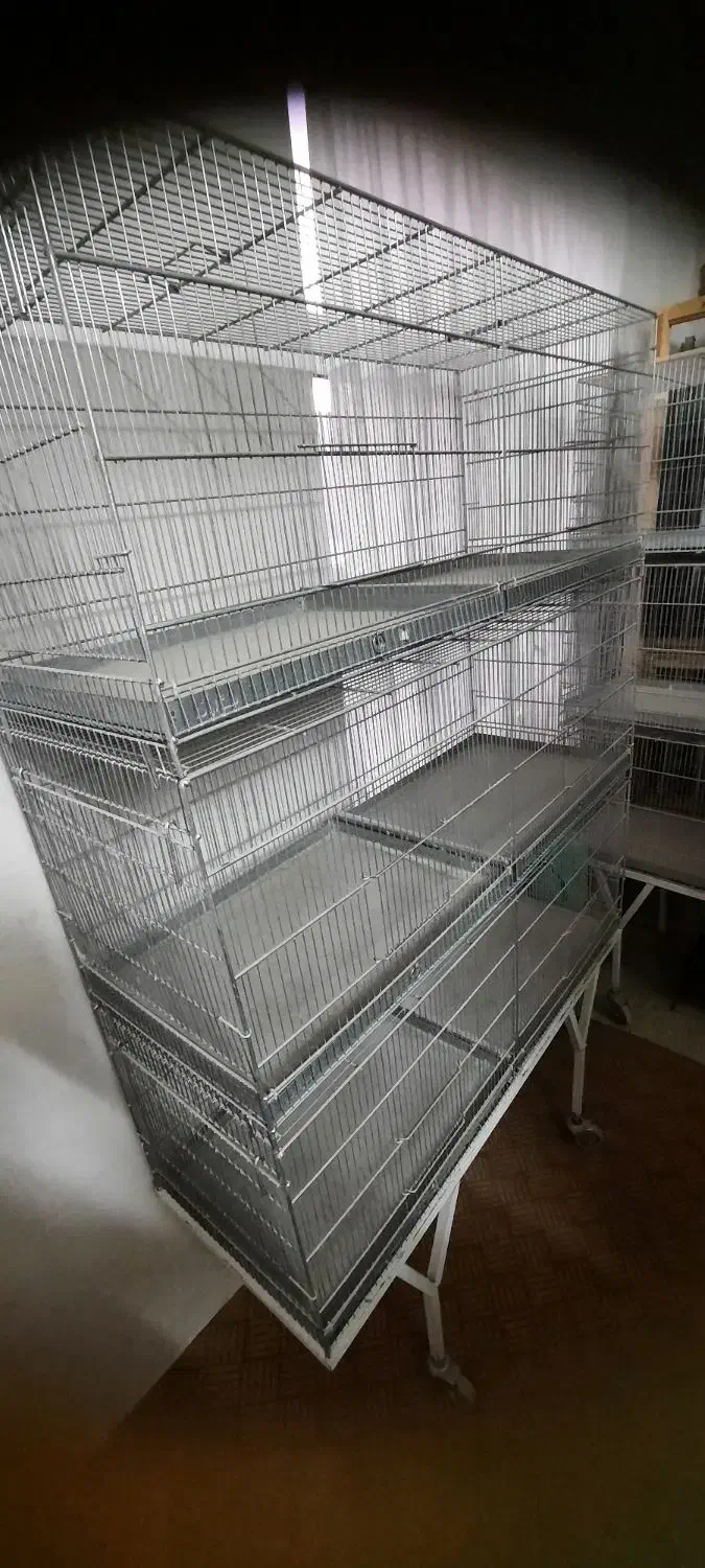 قفس حرفه ای قناری|لوازم جانبی حیوانات|آران و بیدگل, |دیوار