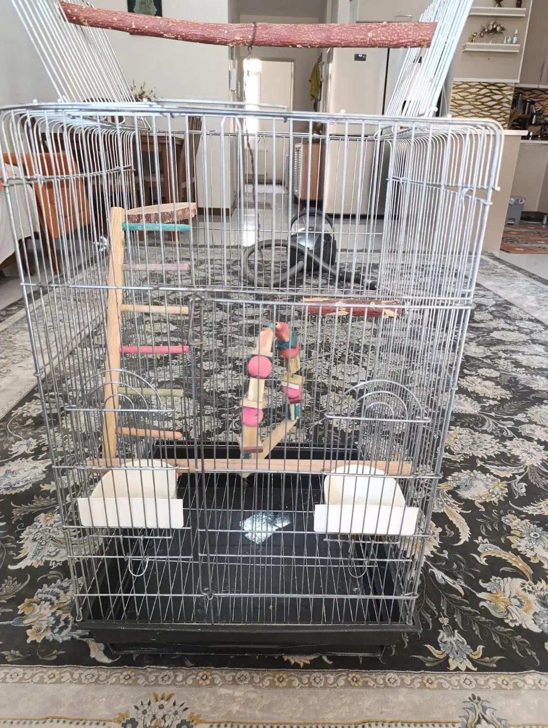 قفس عروس هلندی|لوازم جانبی حیوانات|قدس, شهرک فرزان|دیوار