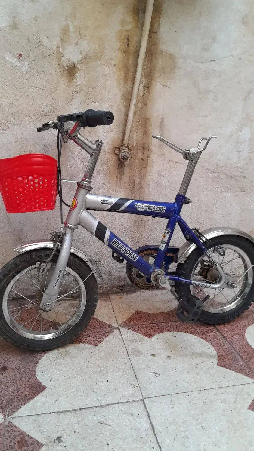 دوچرخه سایز ۱۲|دوچرخه، اسکیت، اسکوتر|شیراز, دانشگاه شیراز|دیوار