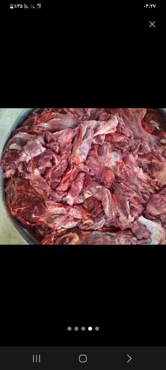 گوشت کله گوساله|خوردنی و آشامیدنی|تهران, آرژانتین|دیوار