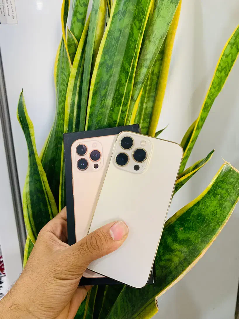 آیفون 13 Pro و 13 Pro Max باتری عالی و خاص|موبایل|اهواز, کمپلو شمالی|دیوار