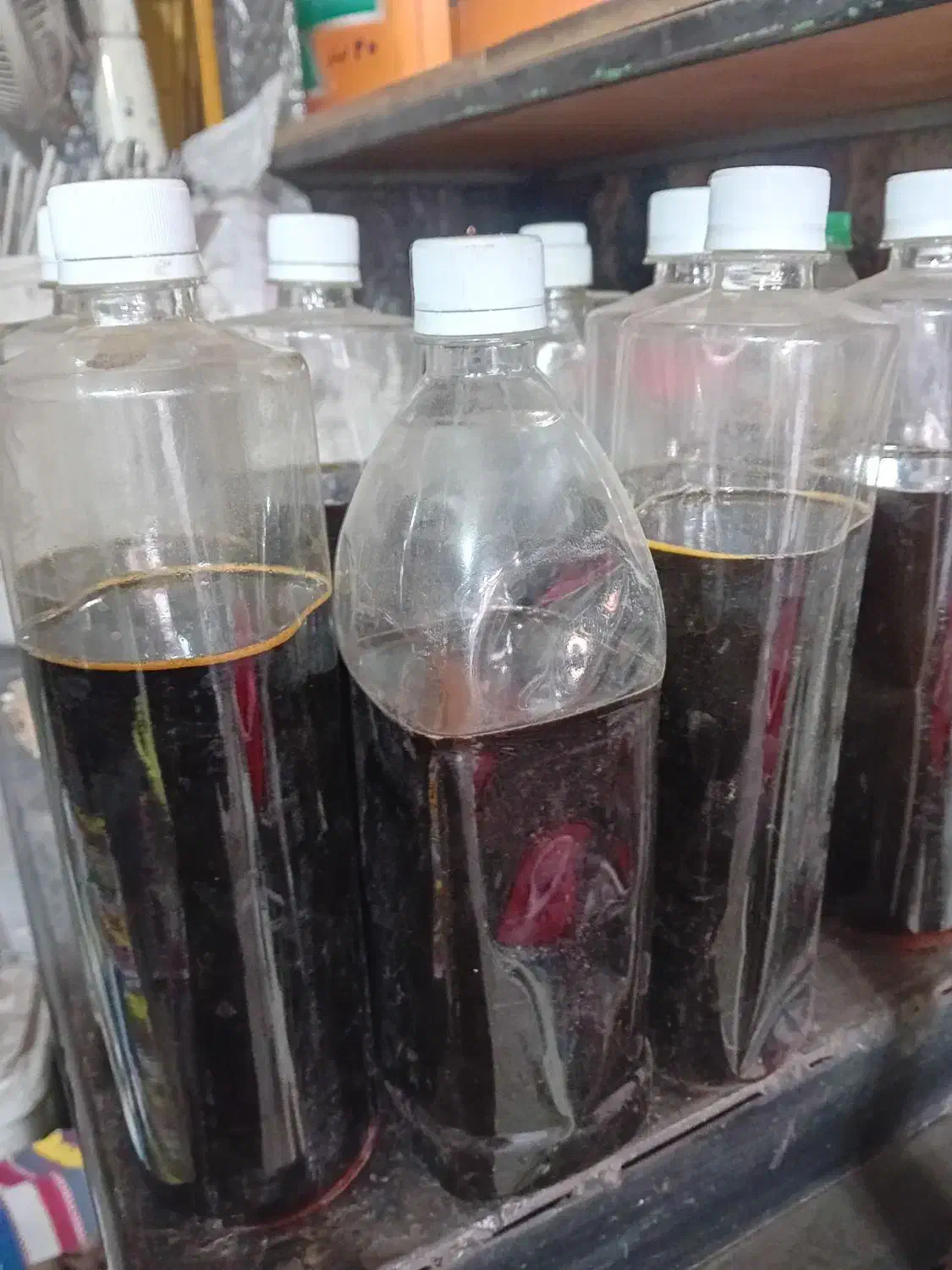 شیره انگور کیلویی ۵۰۰وگردوی تازه شیروان کیلویی ۳۵۰|خوردنی و آشامیدنی|تهران, ابوذر|دیوار