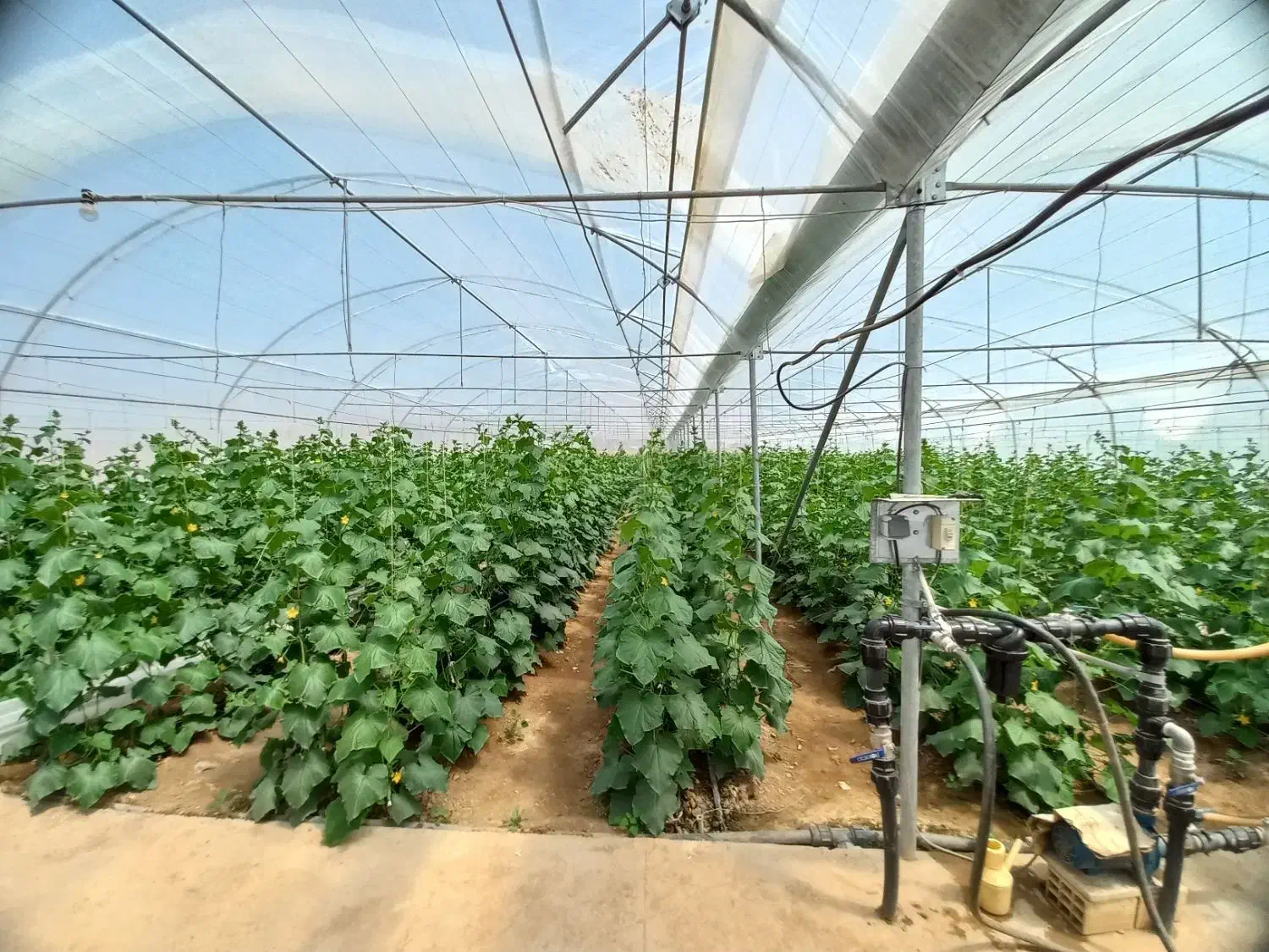 گلخانه فعال با اقامتگاه،امکانات کامل نزدیک پایتخت|فروش دفتر صنعتی، کشاورزی، تجاری|باغستان, |دیوار