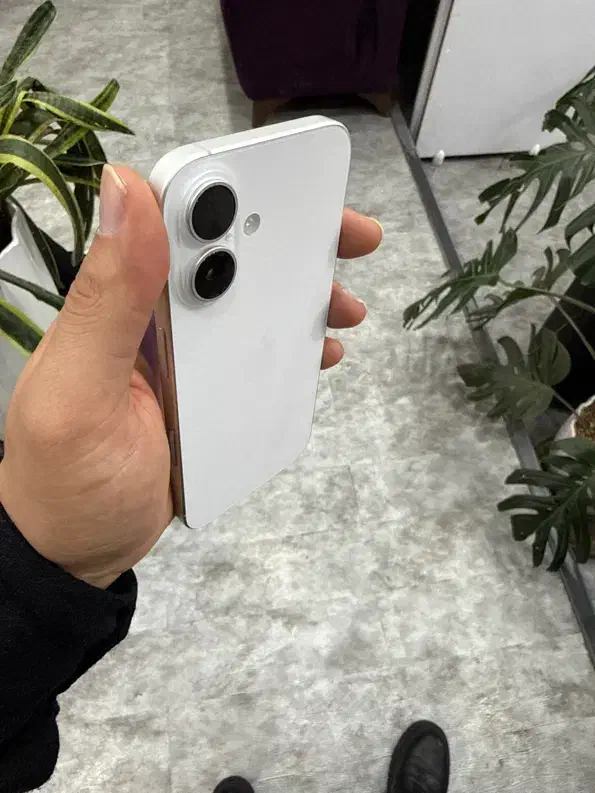 آیفون ۱۶ نرمال باتری ۹۹ رنگ سفید ۱۲۸ گیگ شرکتی|موبایل|شیراز, قالیشویی|دیوار