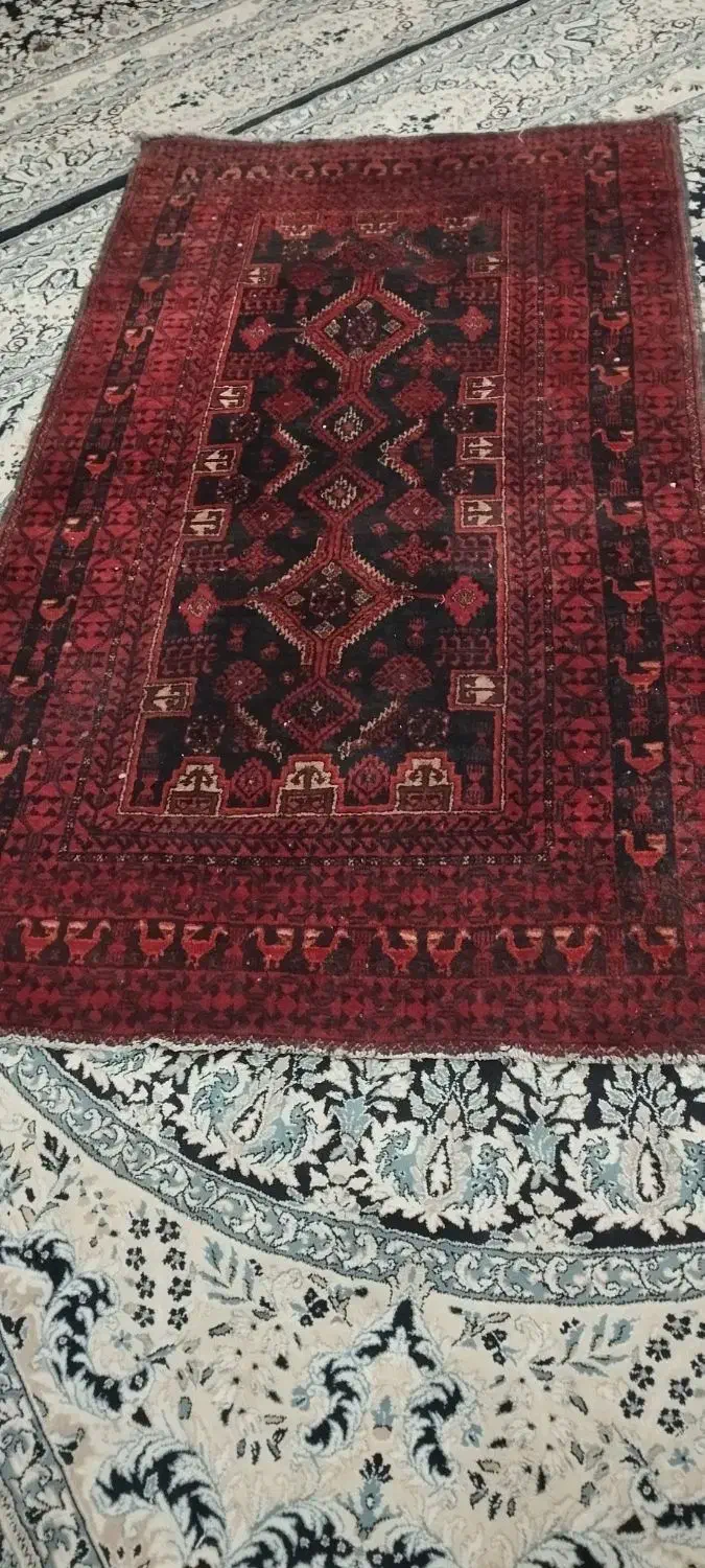 فرش دستباف|فرش|قرچک, مهدیه|دیوار