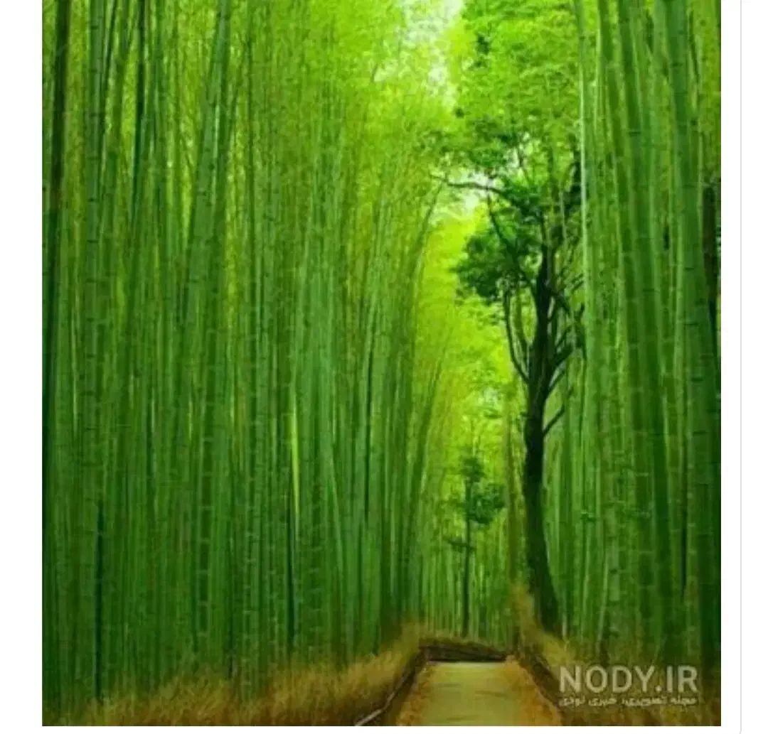 عزیزانی که بدنبال کار پردرآمد هستن)|استخدام بازاریابی و فروش|تهران, چیتگر جنوبی|دیوار