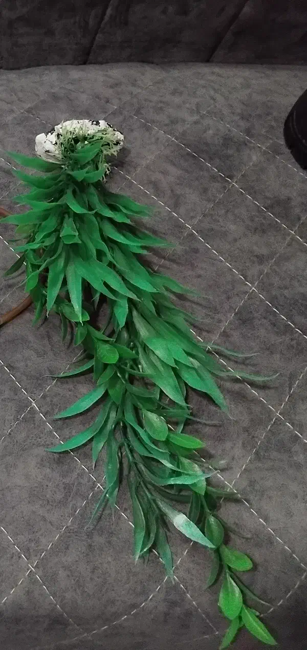 وسایل آکواریوم|ماهی|کرمانشاه, |دیوار