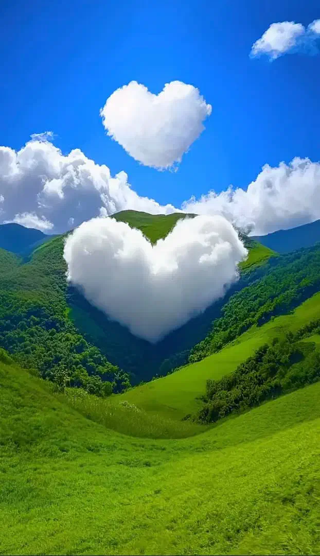 نگهبان گشت مجتمع مسکونی|استخدام سرایداری و نظافت|شیراز, ریاستی|دیوار