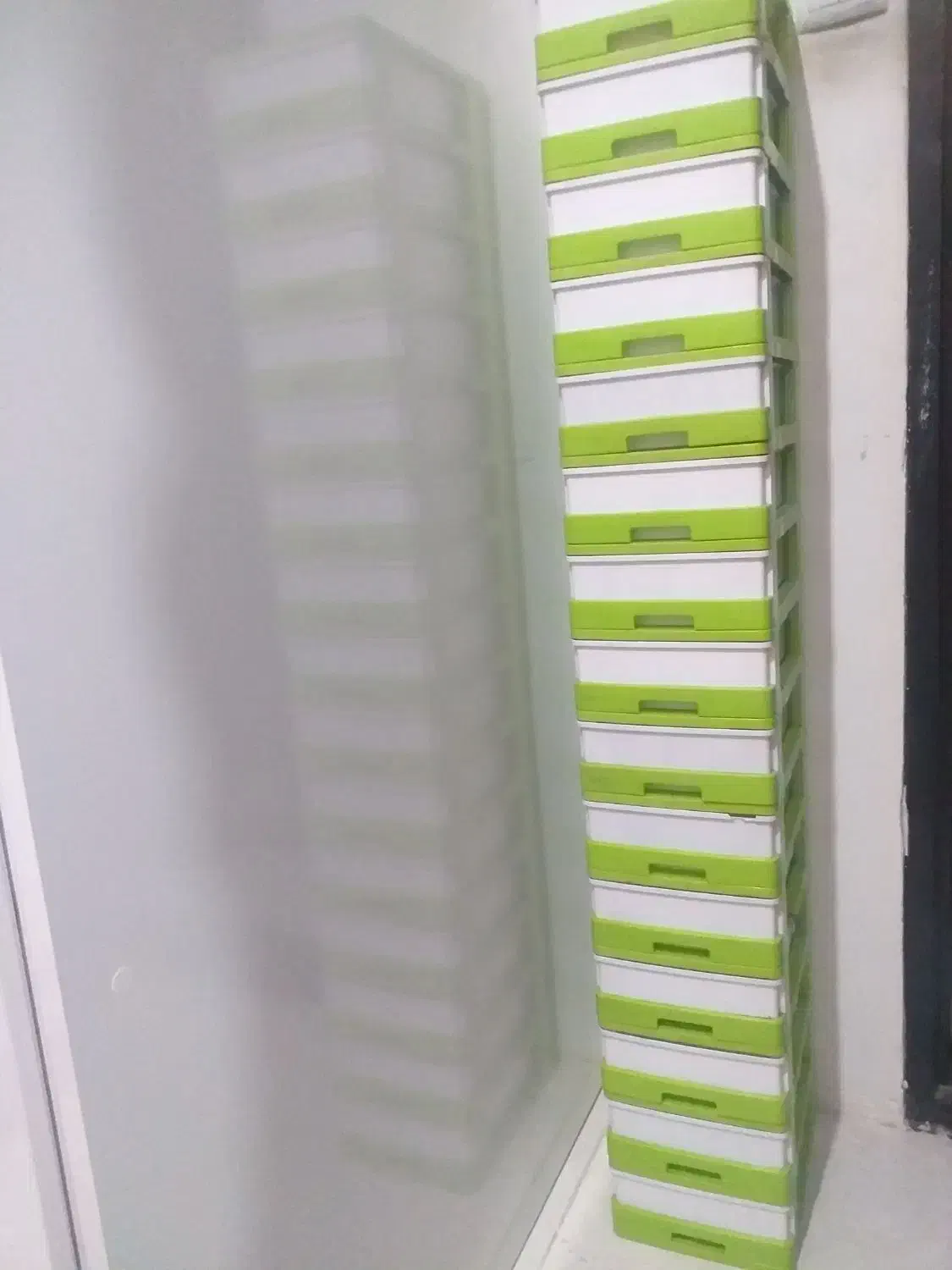 فایل ۱۵ کشو|کتابخانه، شلف، قفسه‌های دیواری|نیشابور, شهرک جانبازان|دیوار