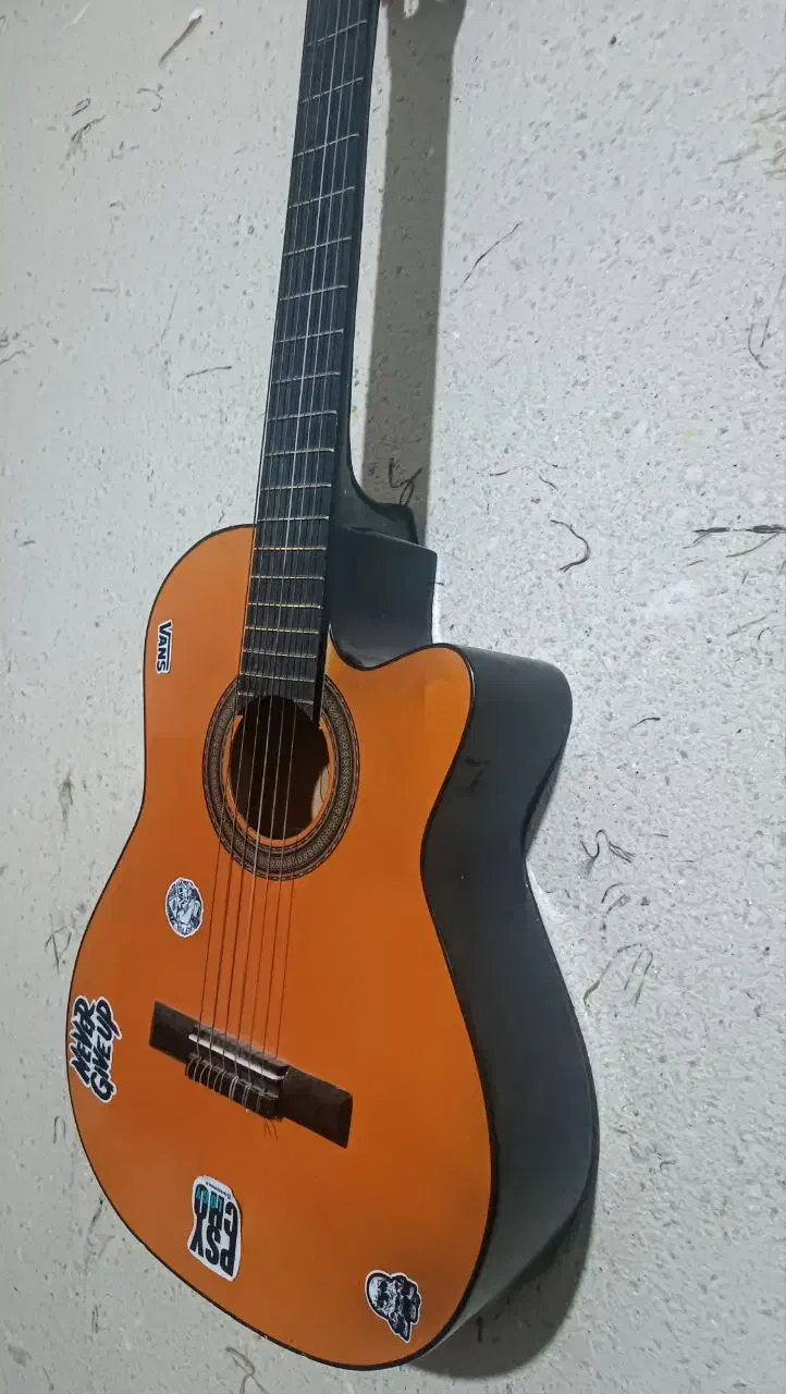 گیتار دیاموند|گیتار، بیس، امپلیفایر|نیشابور, بلوار گلها|دیوار