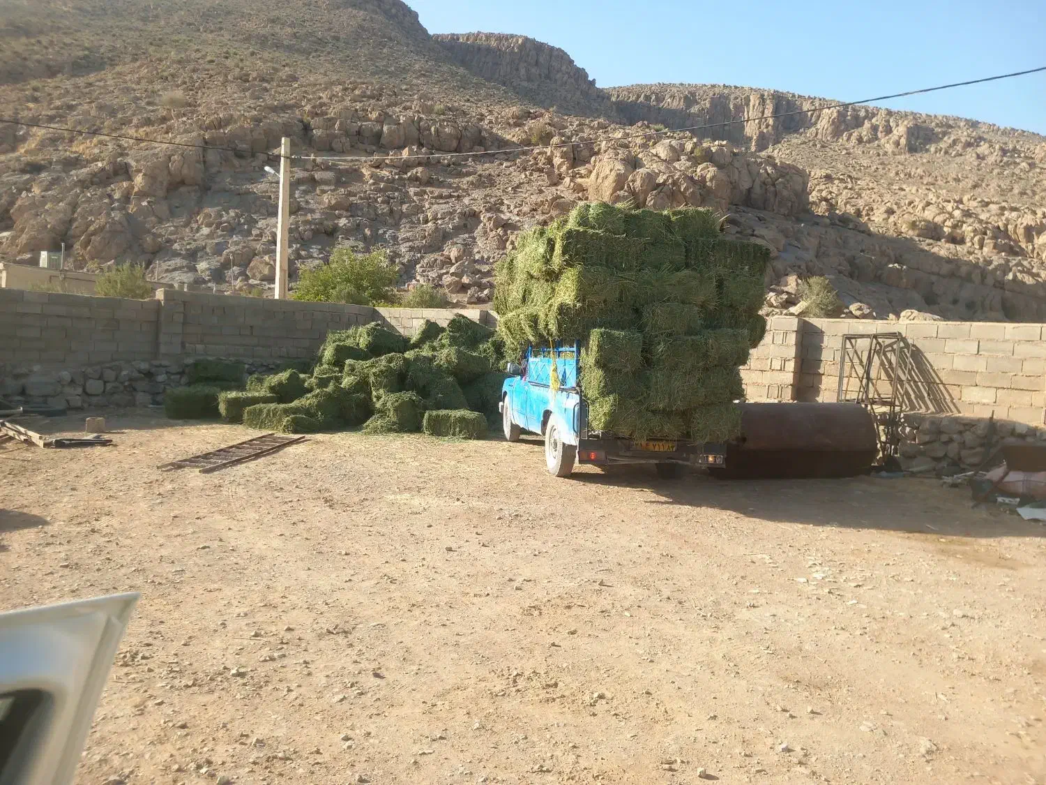 خرید فروش پرس یونجه و یونجه کوفته|عمدهفروشی|بانش, |دیوار