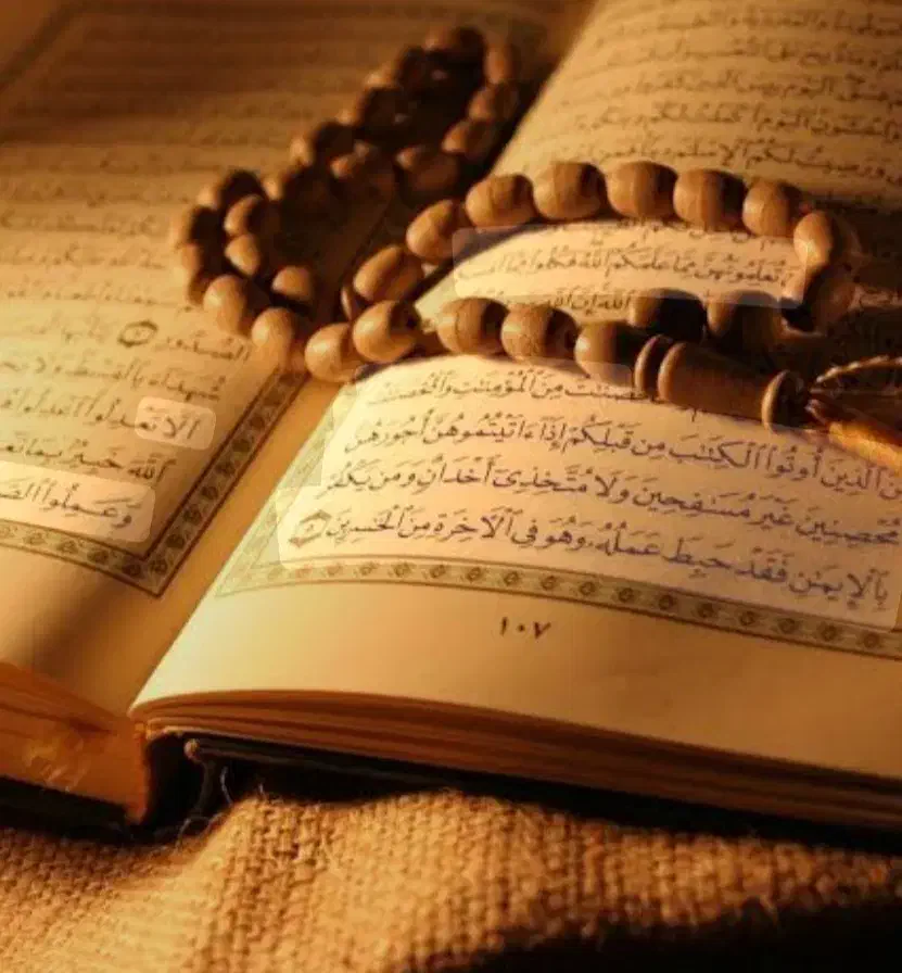 فال ورق ،تاروت، قهوه انلاین|فعالیت داوطلبانه|شیراز, احمدی جنوبی|دیوار