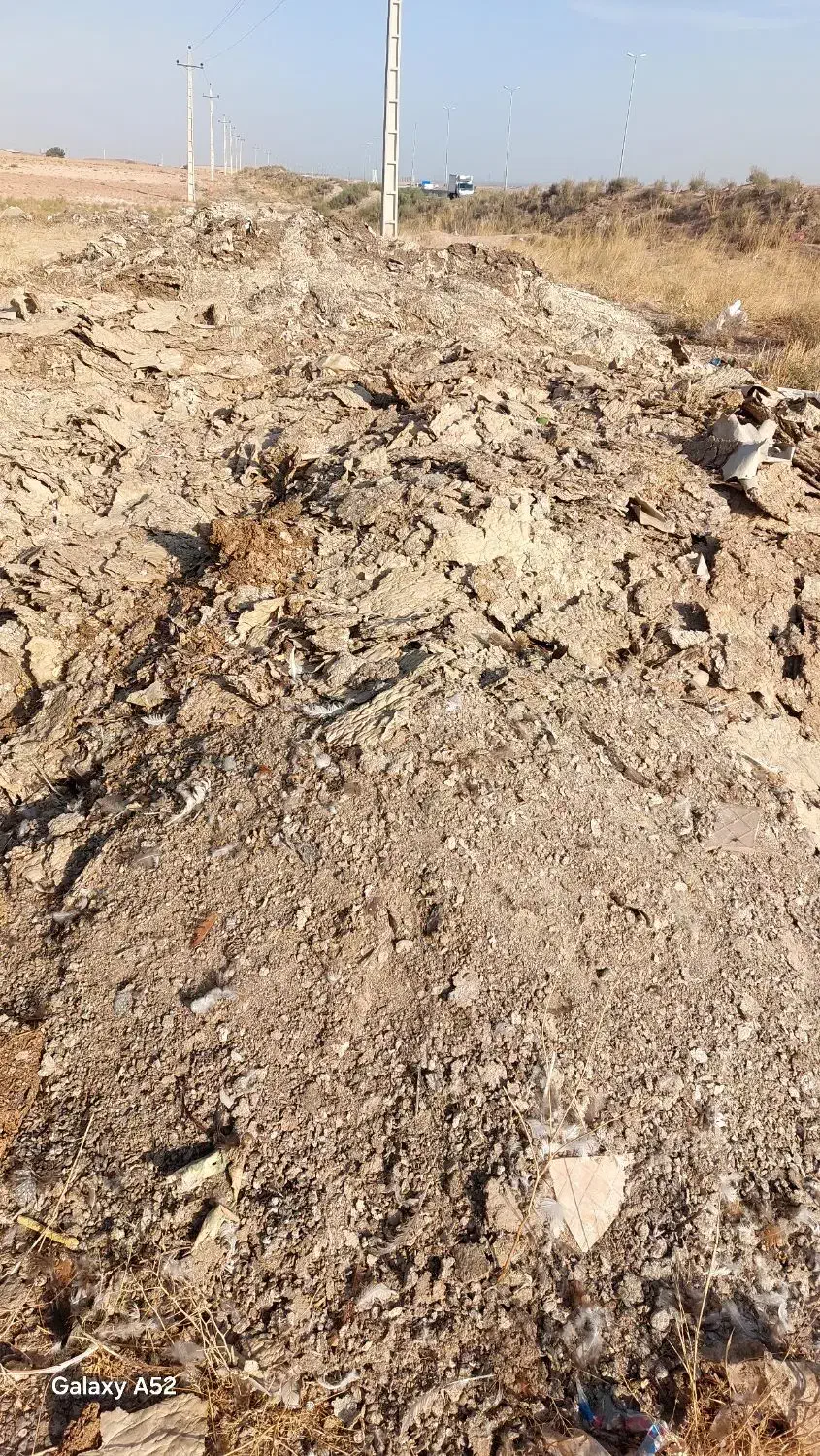 فروش کود جوجه بوقلمون،مرغی|حیوانات مزرعه|تاکستان, |دیوار