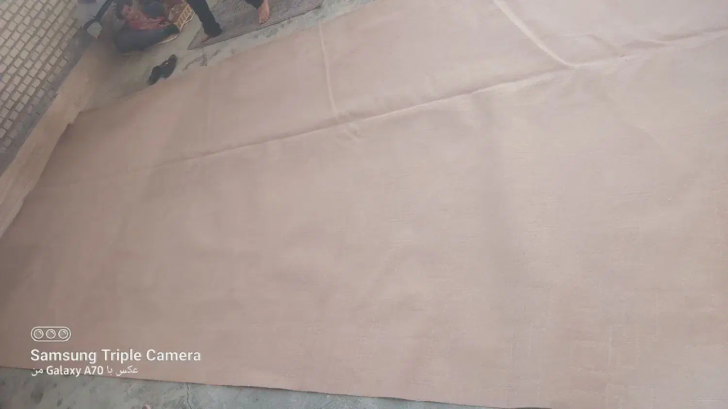 موکت|موکت|رامهرمز, |دیوار