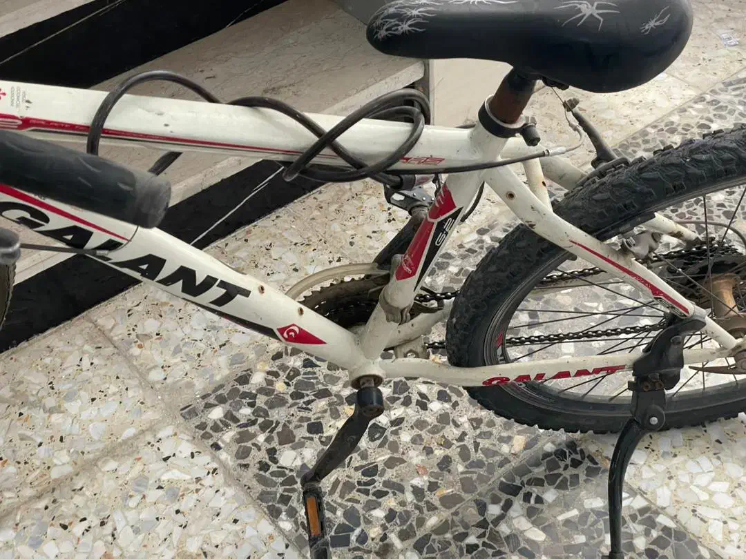 دوچرخه ۲۶گالانت|دوچرخه، اسکیت، اسکوتر|اصفهان, بهرامآباد|دیوار