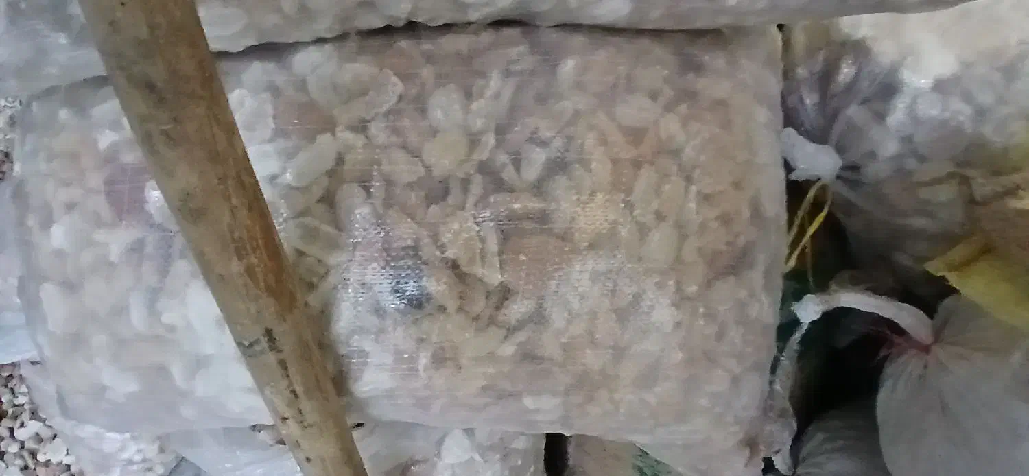 کشک خشک کرمانشاهی|خوردنی و آشامیدنی|تهران, منیریه|دیوار