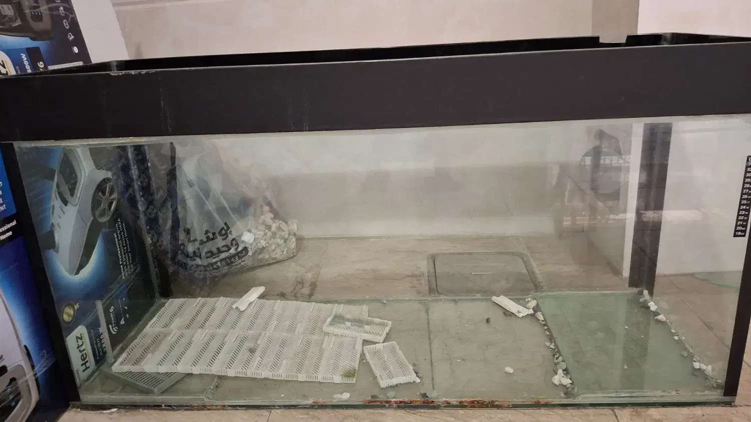 آکواریوم|ماهی|فردیس, سرحد آباد|دیوار