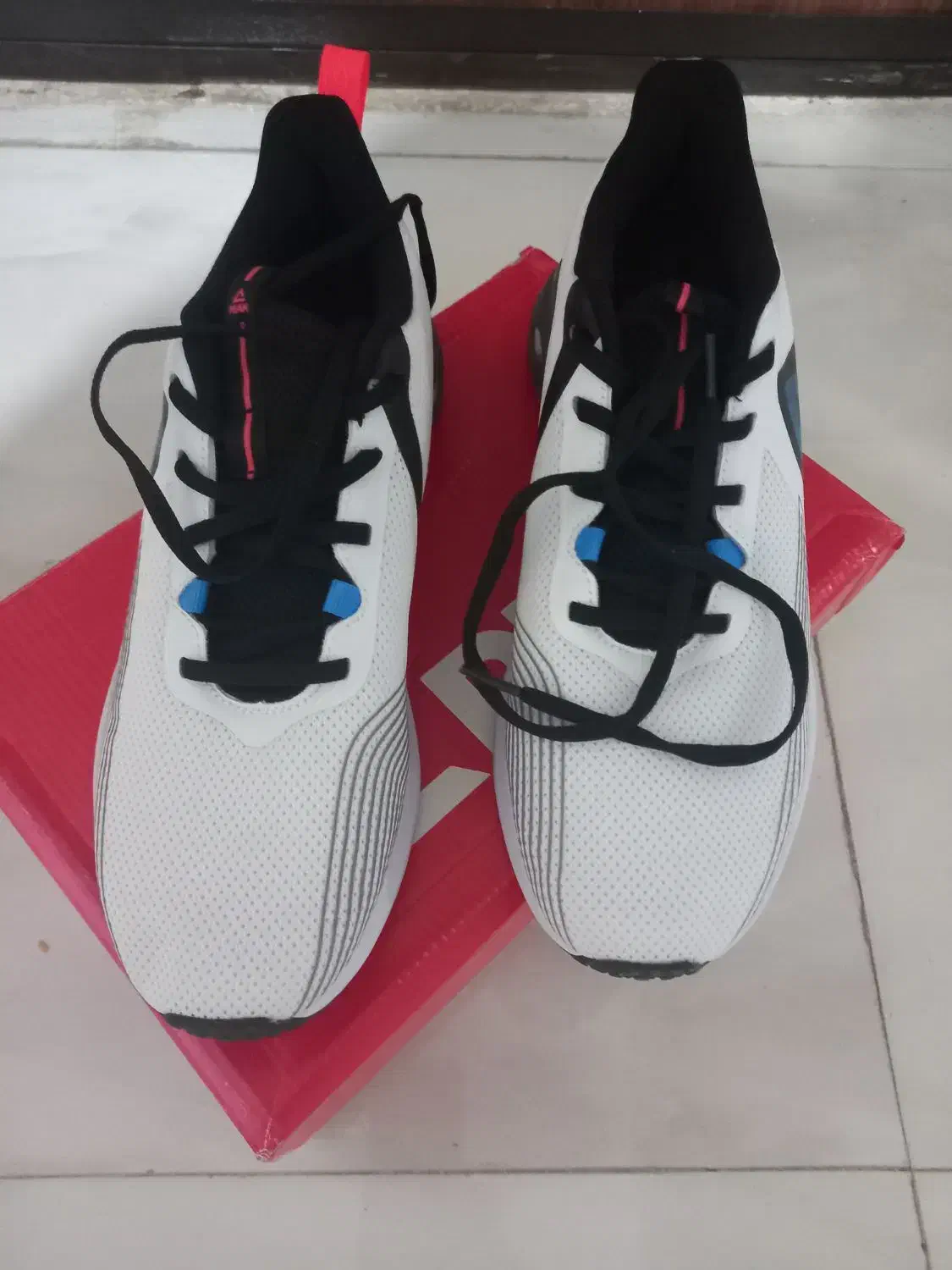 کتونی نو نو|کیف، کفش، کمربند|ماهدشت, |دیوار