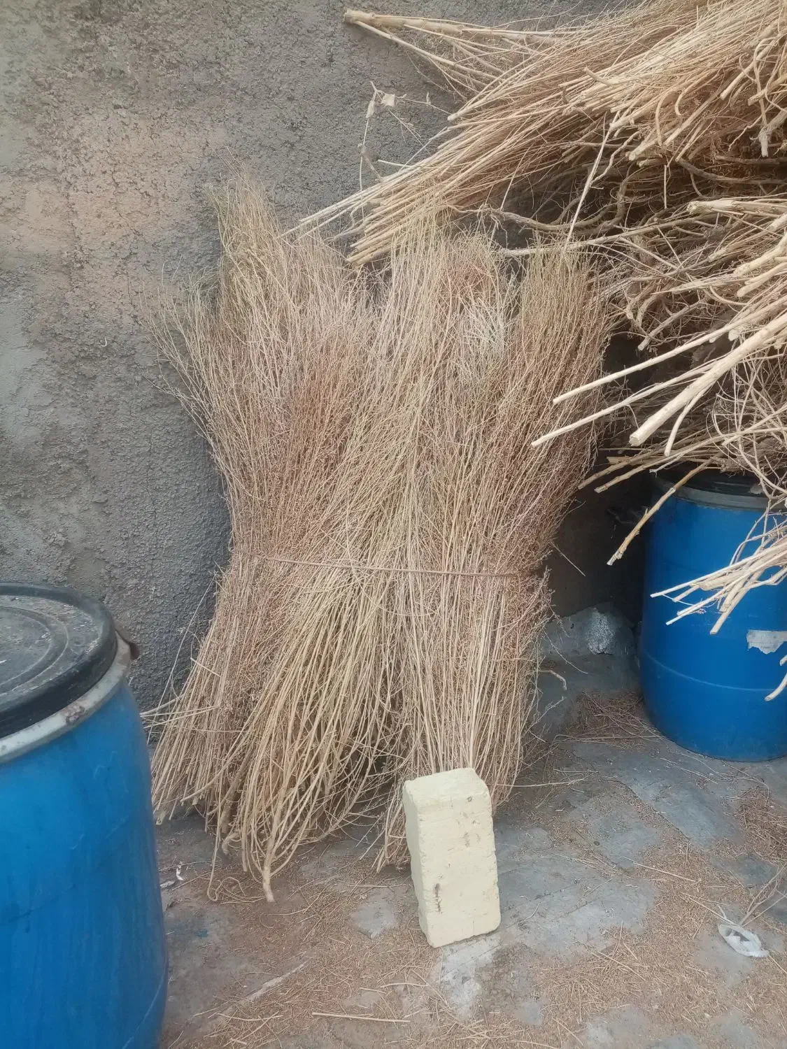 جارو فراشی، جارو سوپوری، جارو شهرداری|لوازم نظافت|قزوین, |دیوار