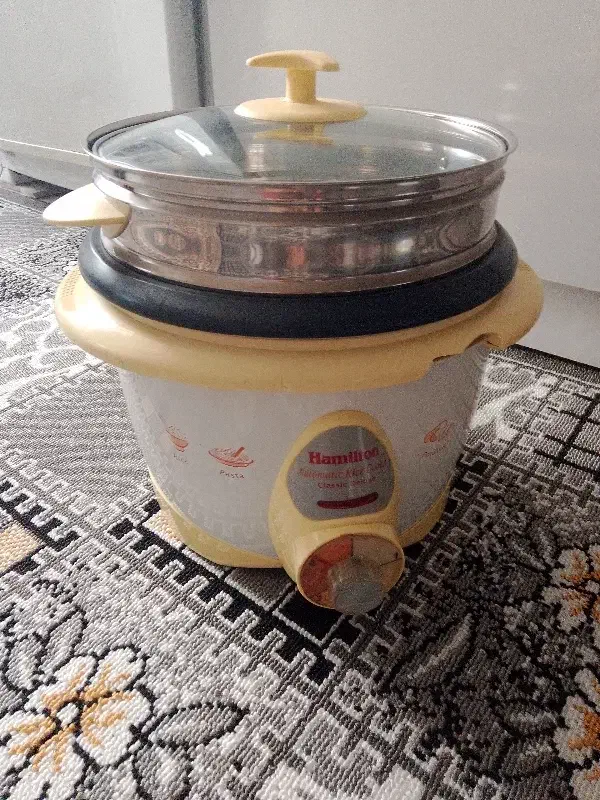 پلو پز|اجاق گاز و لوازم برقی پختوپز|مشهد, فدک|دیوار