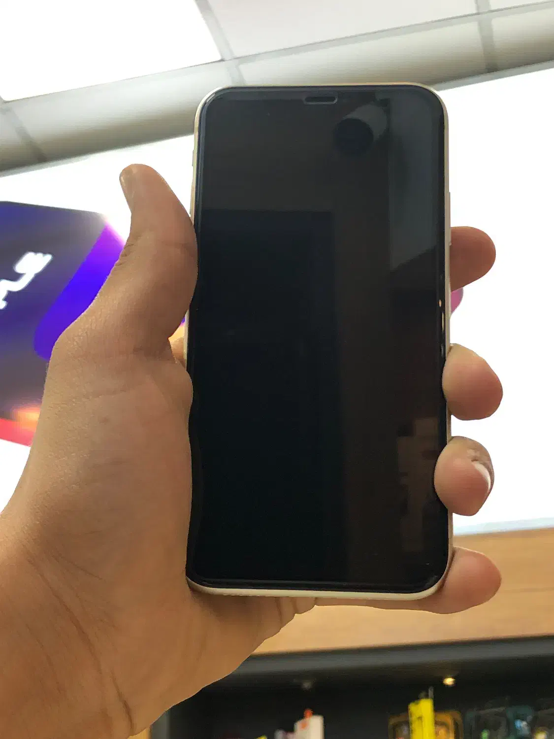 ایفون ۱۱ پک بزرگ|موبایل|ساری, |دیوار