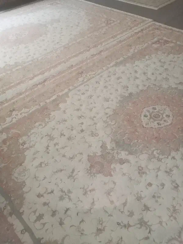 فرش|فرش|سبزوار, باهنر|دیوار